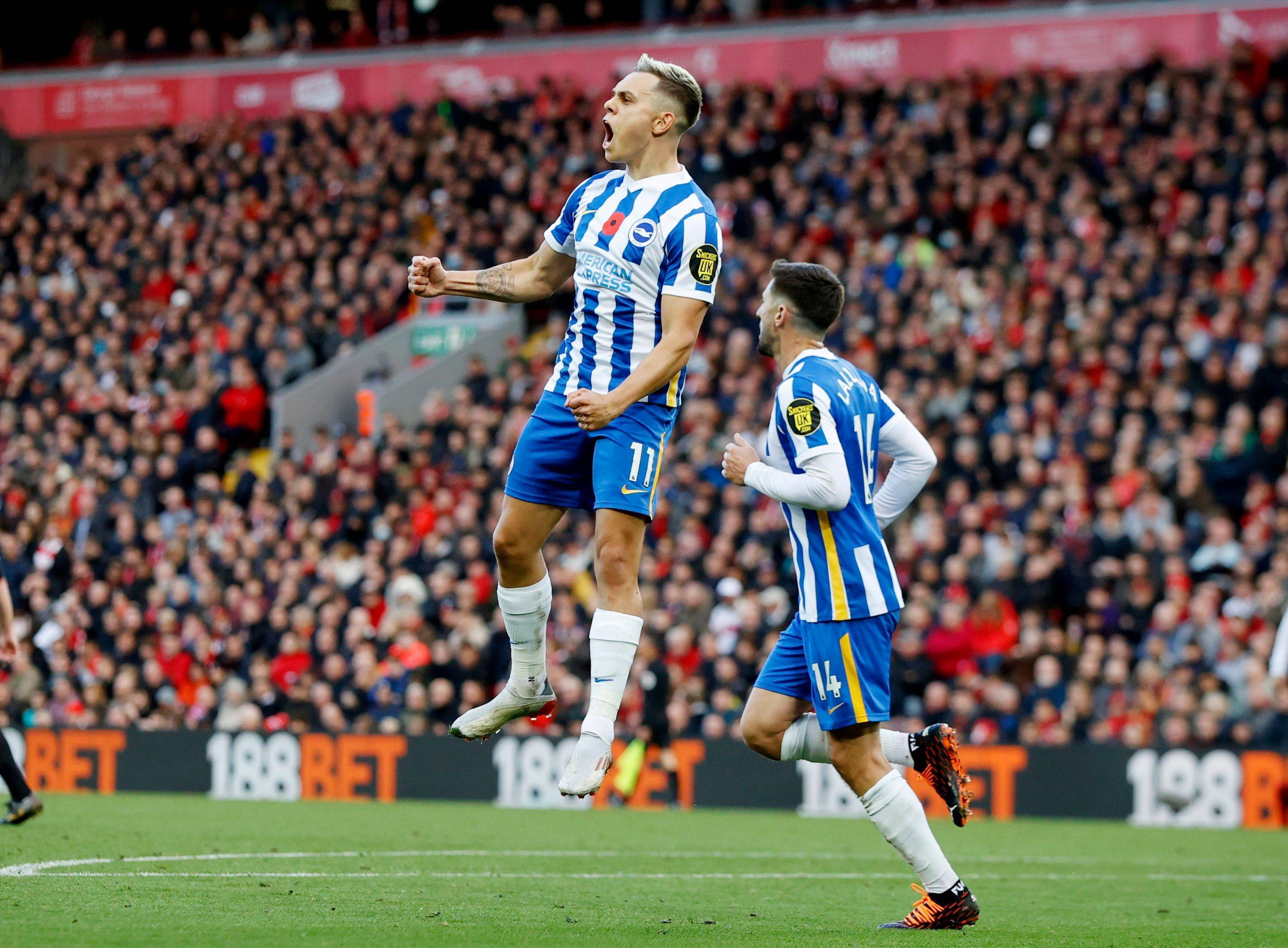 他在某些体 他在某些体